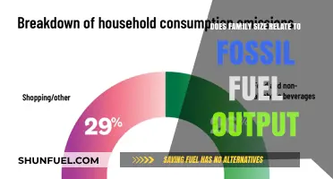 Family Size: Impacting Fossil Fuel Output?