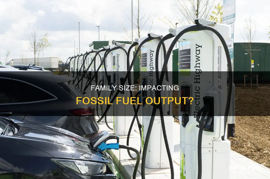 does family size relate to fossil fuel output