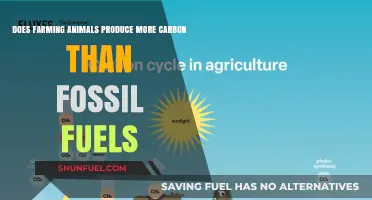 Animal Farming: More Carbon than Fossil Fuels?