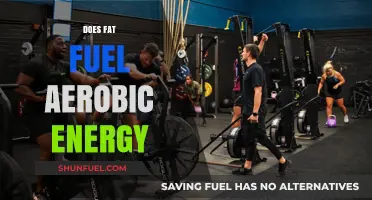 Fat as Fuel: Unlocking Aerobic Energy Potential and Performance