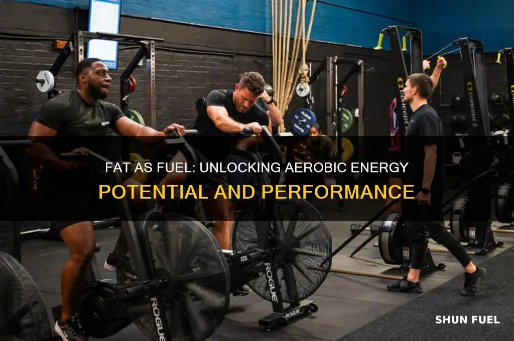does fat fuel aerobic energy
