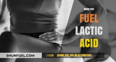Does Fat Fuel Lactic Acid? Unraveling the Metabolic Connection