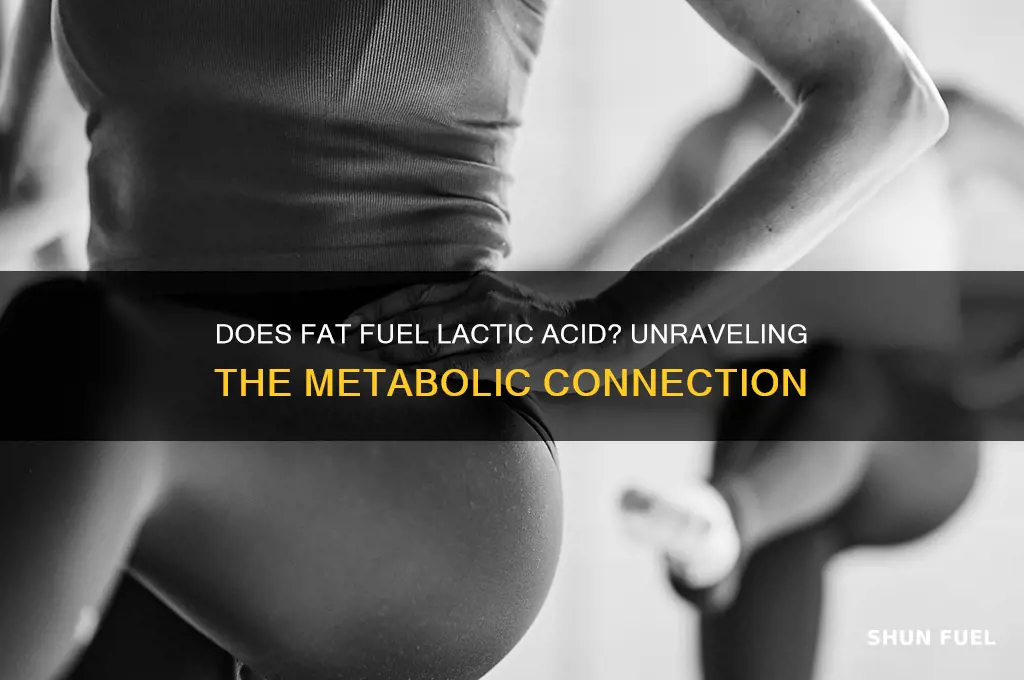 does fat fuel lactic acid