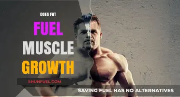 Does Fat Fuel Muscle Growth? Unlocking the Role of Fats in Fitness