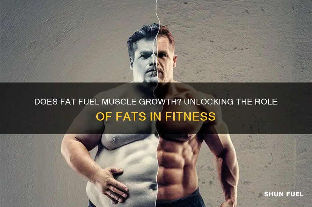 does fat fuel muscle growth