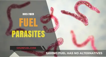 Does Fiber Fuel Parasites? Unraveling the Gut Health Myth
