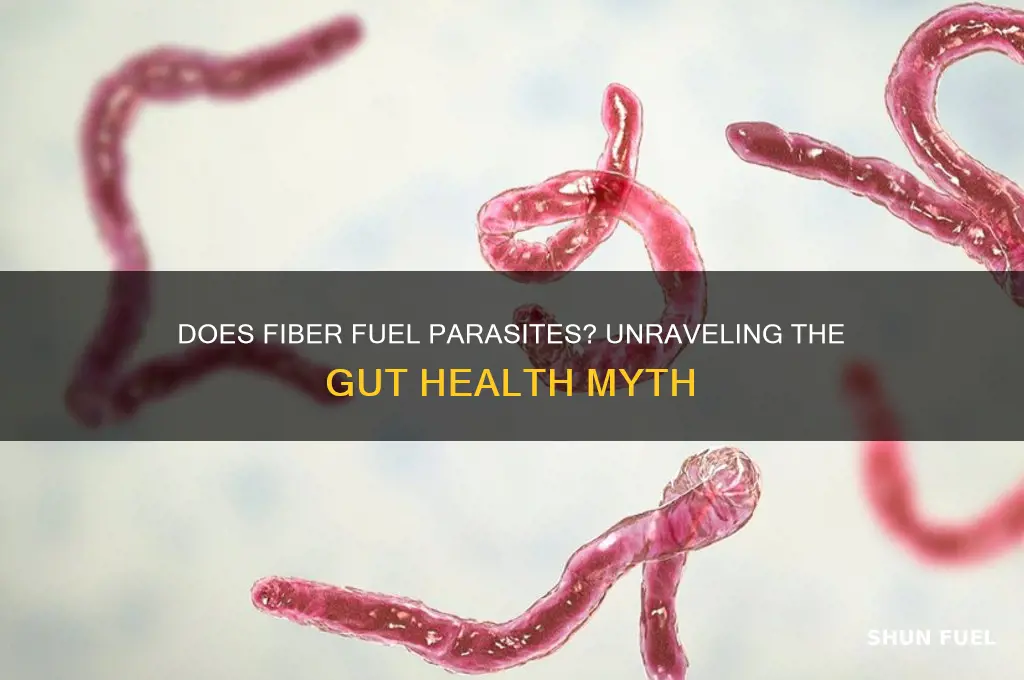 does fiber fuel parasites
