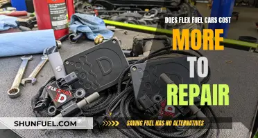 Flex Fuel Cars: Costlier Repairs or Efficient Alternatives?