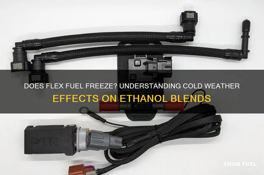 does flex fuel freeze