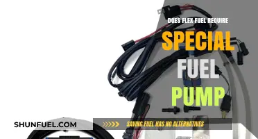 Flex Fuel Vehicles: Do They Need a Special Fuel Pump?