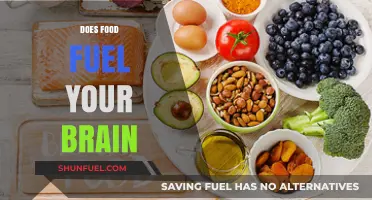 Fuel Your Mind: How Food Powers Brain Function and Focus