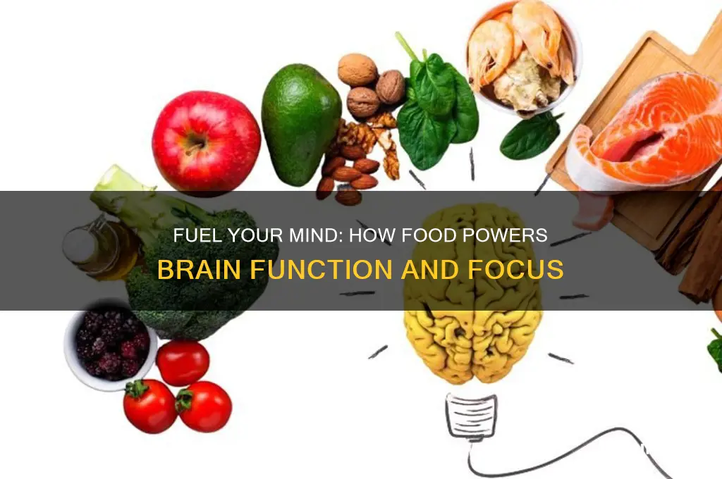 does food fuel your brain