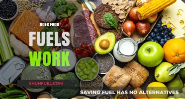 Does Food Fuel Work? Exploring the Science Behind Nutritional Energy