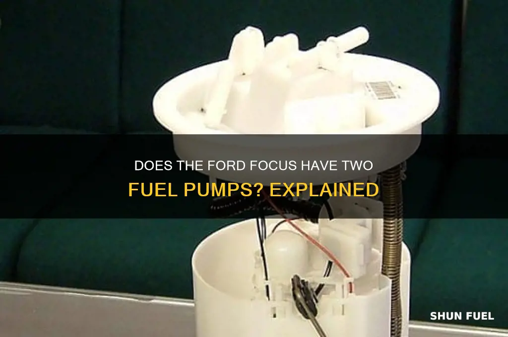 does ford focus has two fuel pumps
