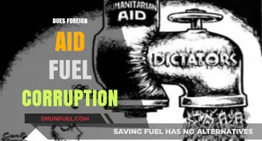 Foreign Aid and Corruption: Unraveling the Complex Relationship