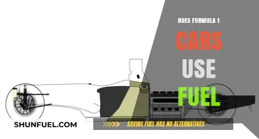 Do Formula 1 Cars Use Fuel? Exploring F1's Power Source