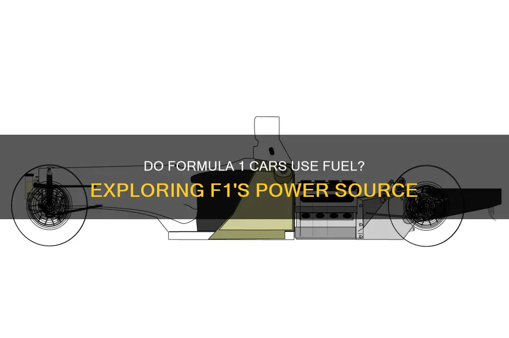 does formula 1 cars use fuel