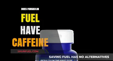 Does Forskolin Fuel Contain Caffeine? Uncovering the Truth