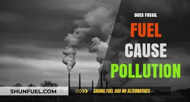 Fossil Fuels: The Pollution Connection