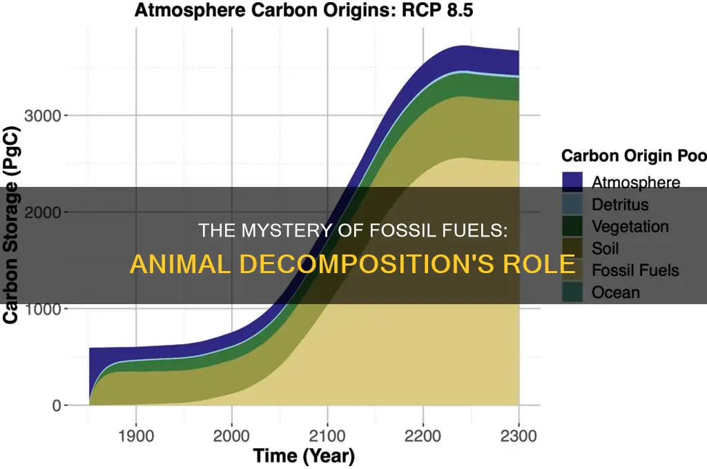 does fossil fuel come from decomposed animals