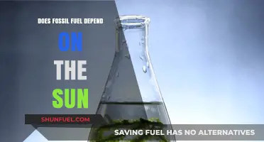 Fossil Fuels: Sun-Derived Energy of the Past