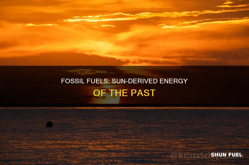 does fossil fuel depend on the sun