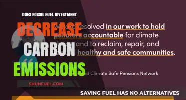 Divesting Fossil Fuels: Impacting Carbon Emissions?