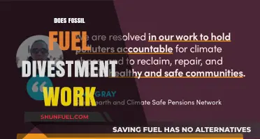 Fossil Fuel Divestment: Effective Strategy or Futile Gesture?