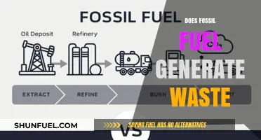Fossil Fuels: Energy or Waste?