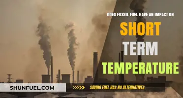 Fossil Fuels: Short-Term Temperature Impact?