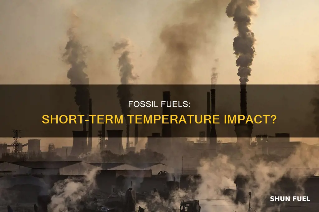 does fossil fuel have an impact on short term temperature