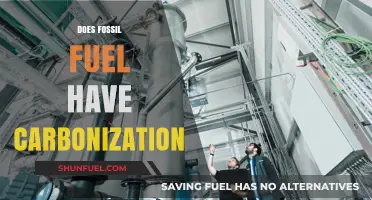 Carbonization: Fossil Fuels' Dark Side
