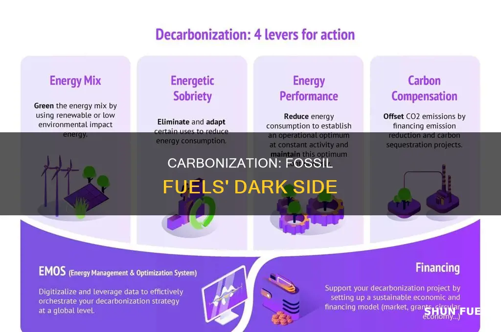 does fossil fuel have carbonization