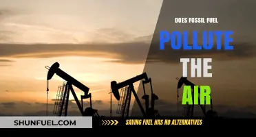 Fossil Fuels: Polluting Our Air, Hurting Our Planet