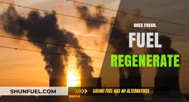 Fossil Fuels: Finite Resources, Infinite Consequences