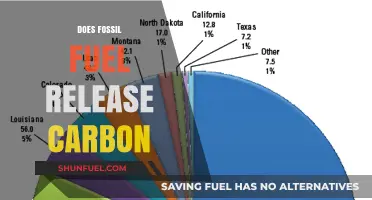 Fossil Fuels: Carbon Emitters or Saviors?