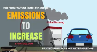Fossil Fuel Usage: CO2 Emissions' Direct Correlation