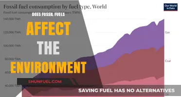 Fossil Fuels: Damaging Our Environment?