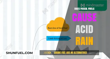 Fossil Fuels and Acid Rain: A Corrosive Relationship