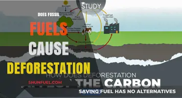 Fossil Fuels: Deforestation's Dark Side
