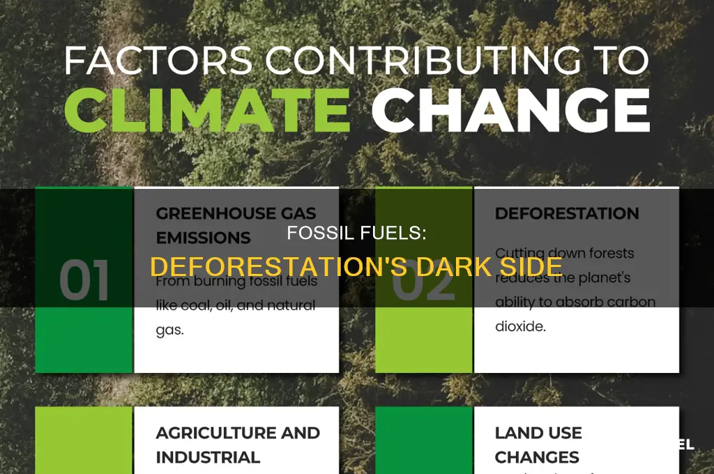 does fossil fuels cause deforestation