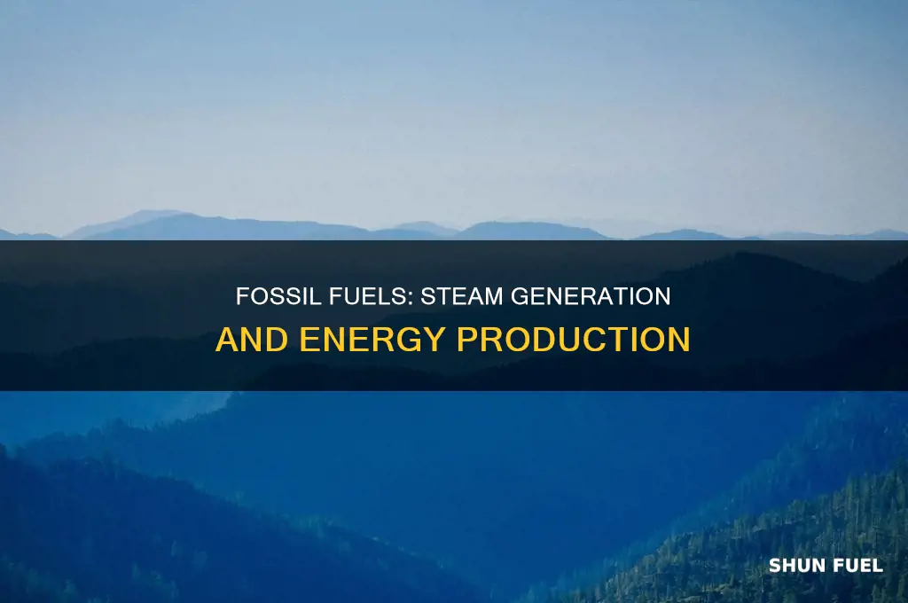 does fossil fuels generate steam