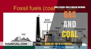 Fossil Fuels: Natural Gas, Coal, and More Explained