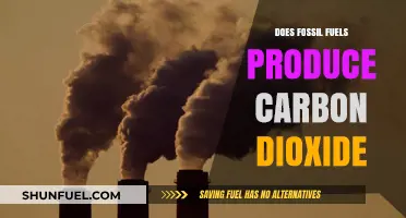 Fossil Fuels: Carbon Dioxide's Main Culprit?