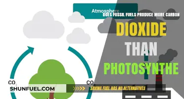 Fossil Fuels: More Carbon than Photosynthesis?