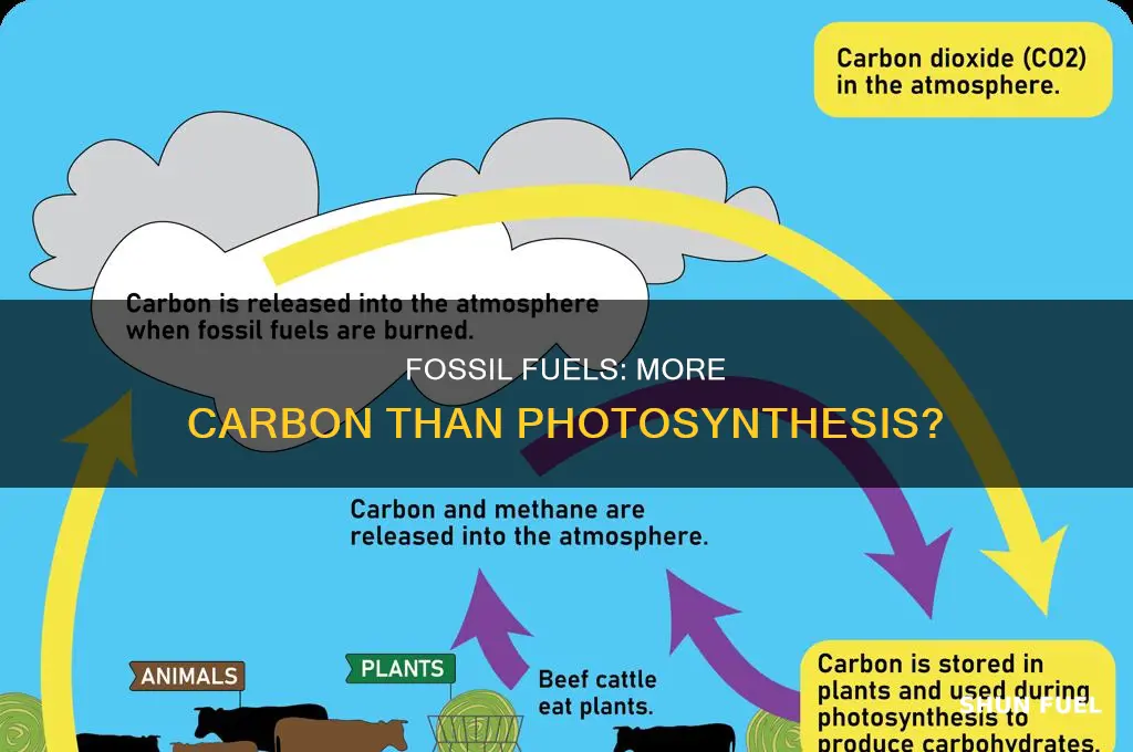 does fossil fuels produce more carbon dioxide than photosynthesis