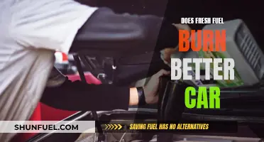 Fuel Freshness: Does It Affect Car Performance?