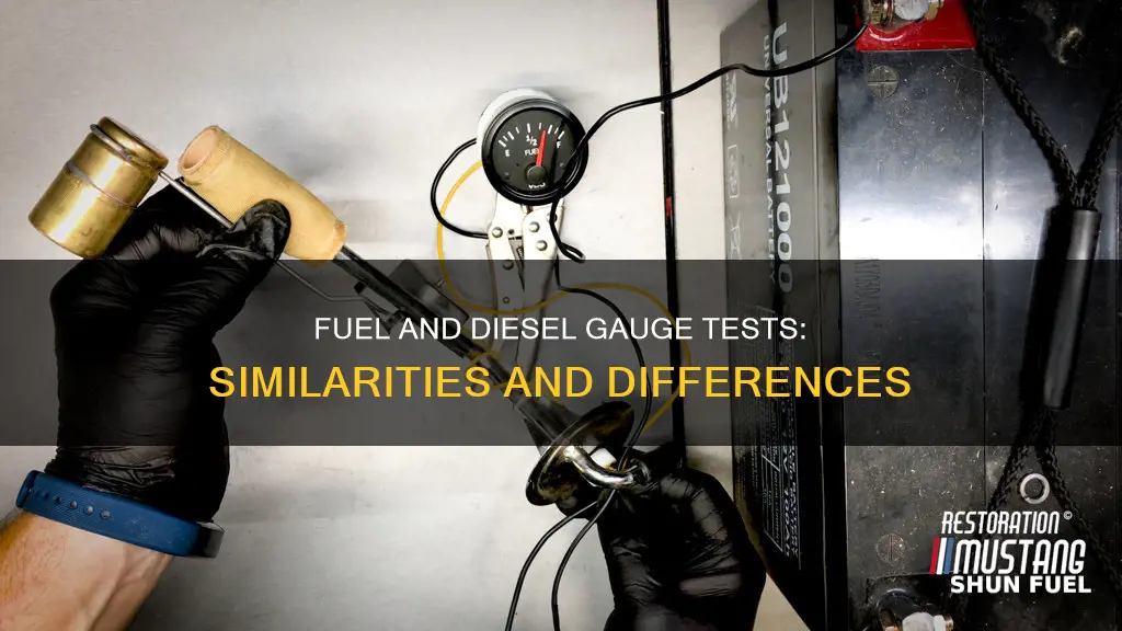 does fuel and diesel gauge test work the same