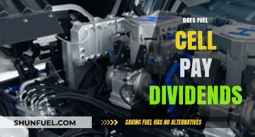 Do Fuel Cell Stocks Offer Dividend Payouts? A Comprehensive Analysis