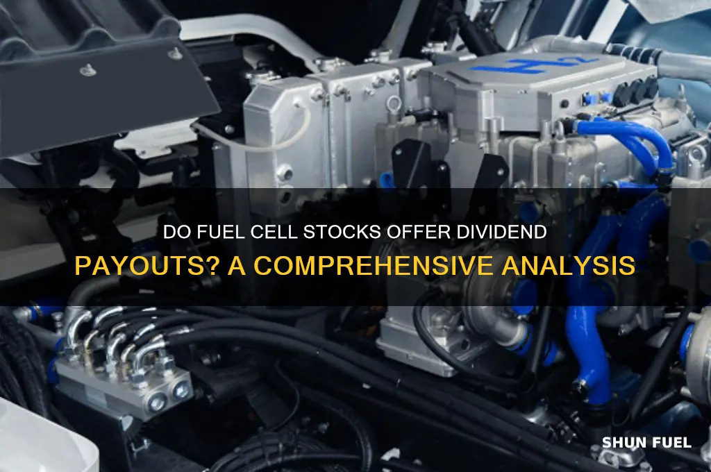 does fuel cell pay dividends